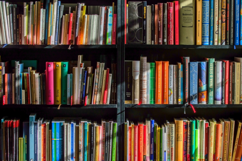 vente-CHATEAUDOUBLE-min_books_bookstore_book_reading_shop_writer_sale_books_read-822866